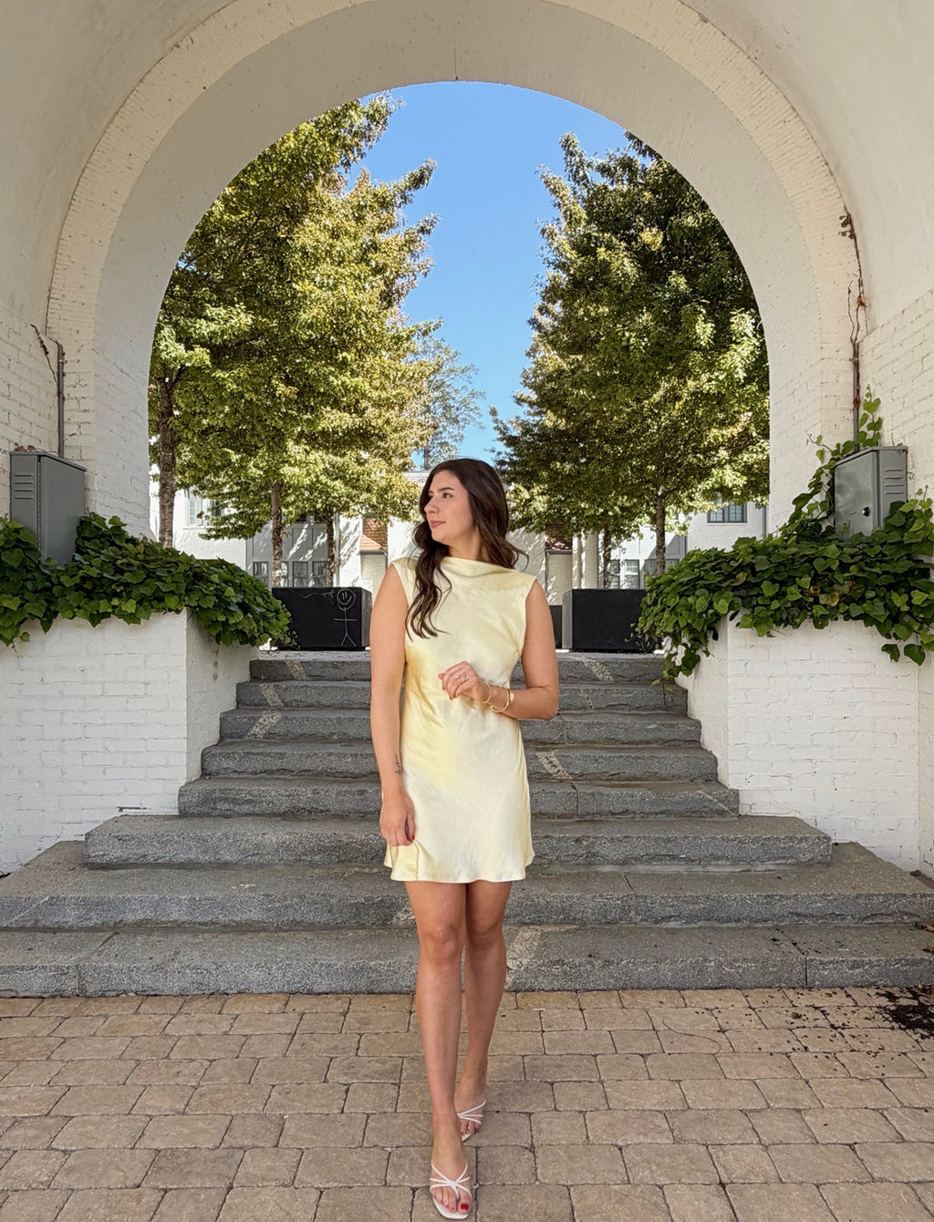 Andie Backless Butter Yellow Mini Dress