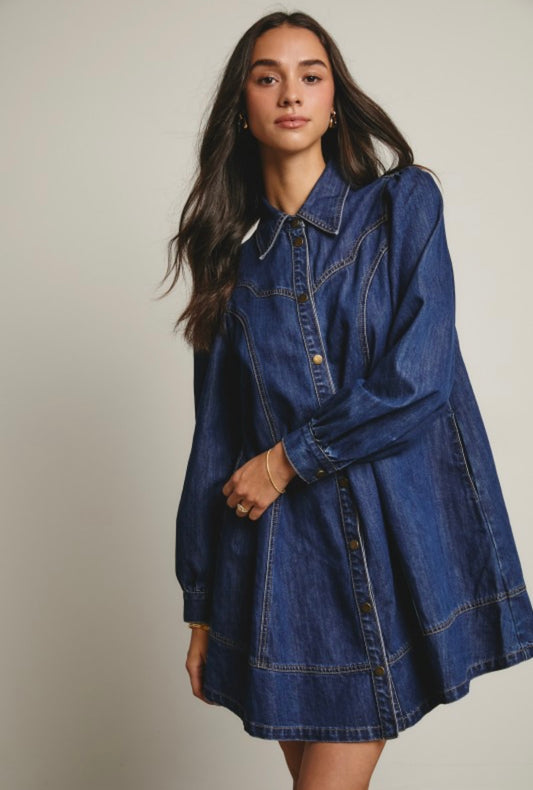 Emery Denim Long Sleeve Mini Dress