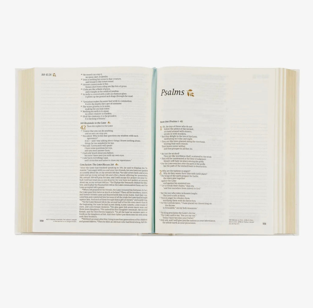 NLT Notetaking Bible: Lisbon Theme PREORDER