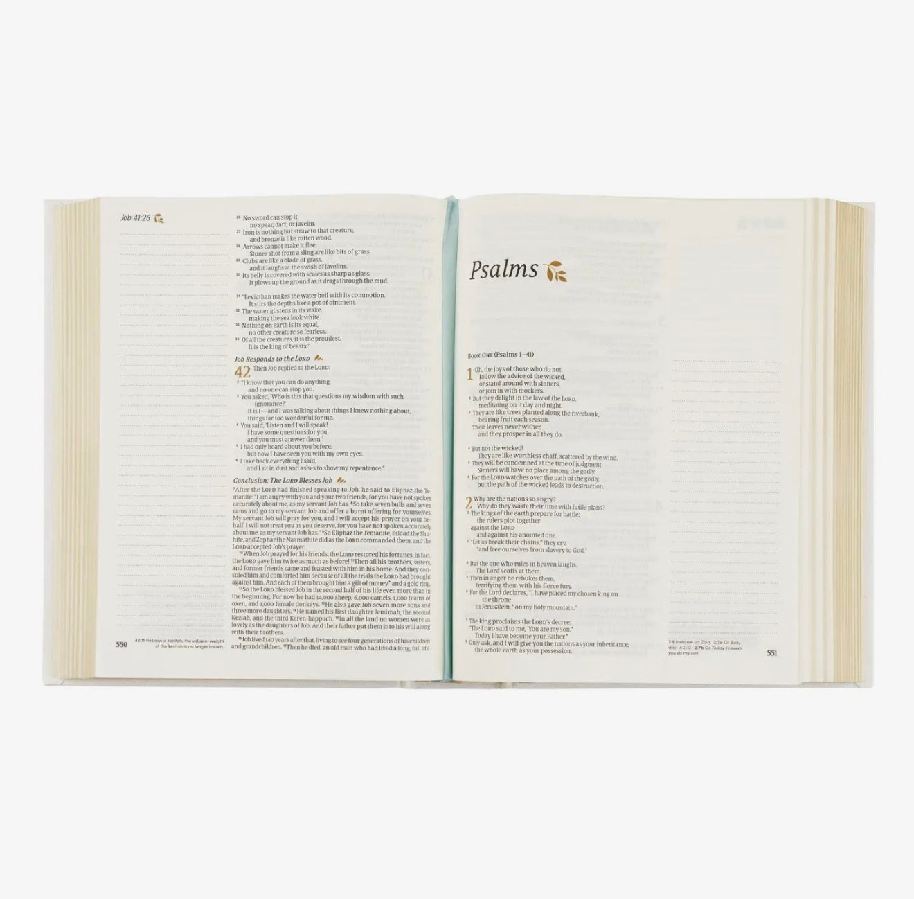 NLT Notetaking Bible: Lisbon Theme PREORDER