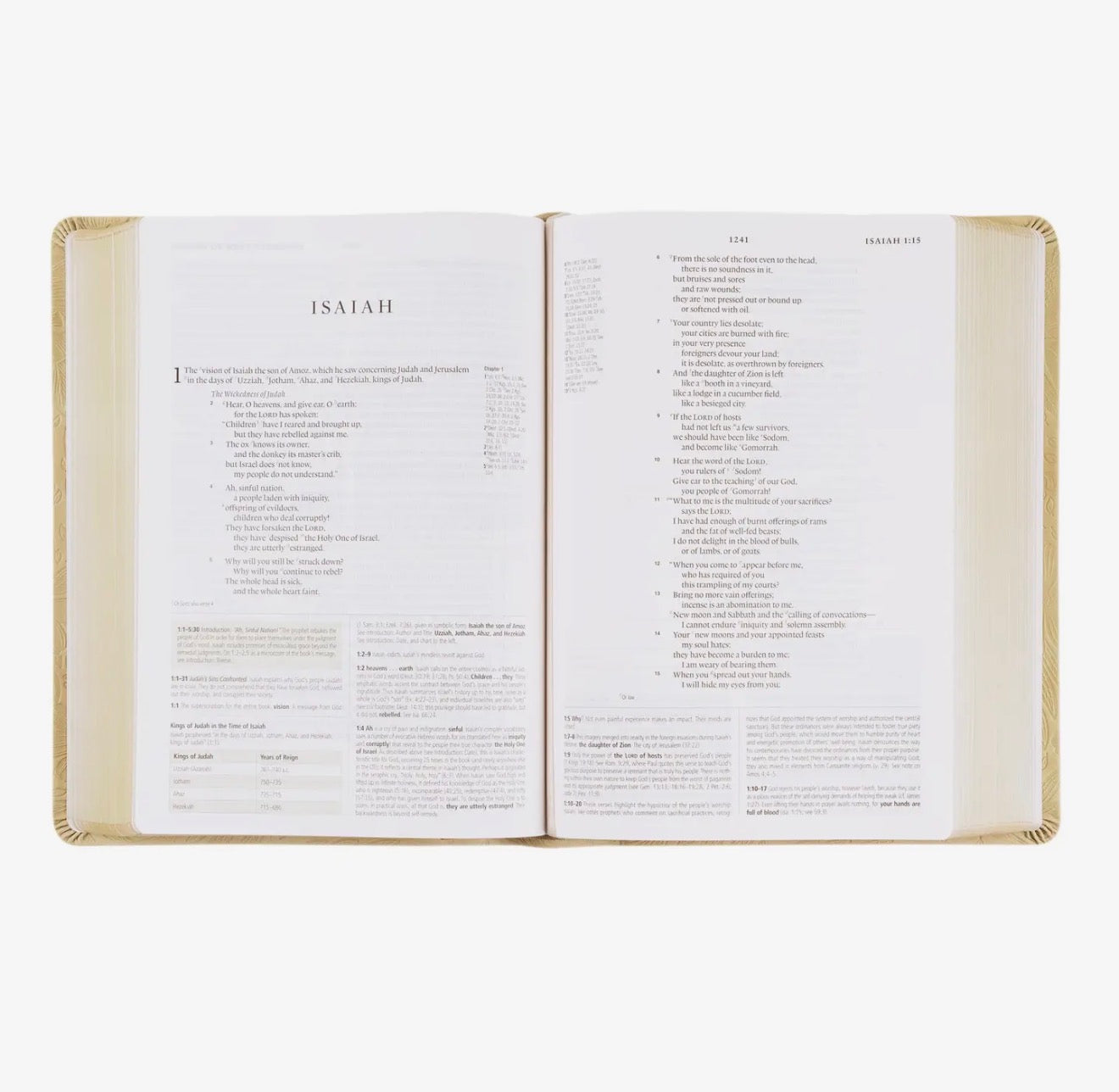 Esv Study Bible: Sonora Theme PREORDER