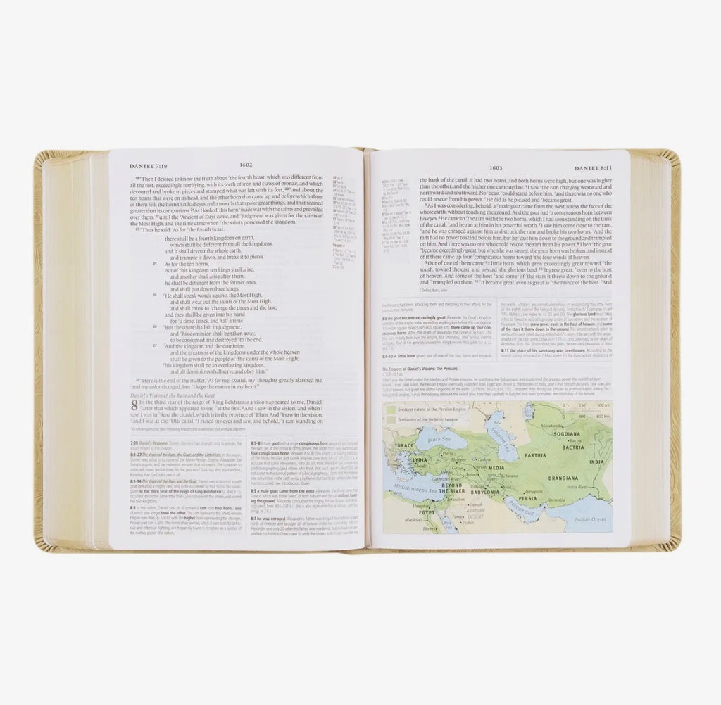 Esv Study Bible: Sonora Theme PREORDER
