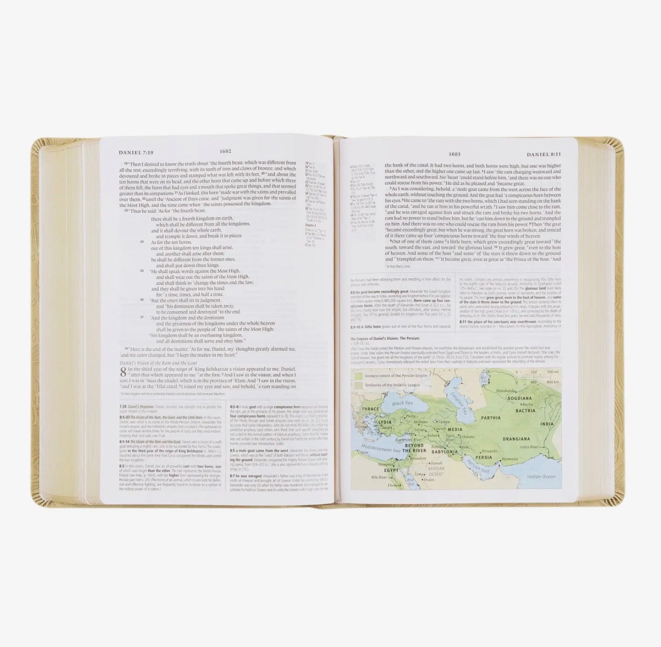 Esv Study Bible: Sonora Theme PREORDER
