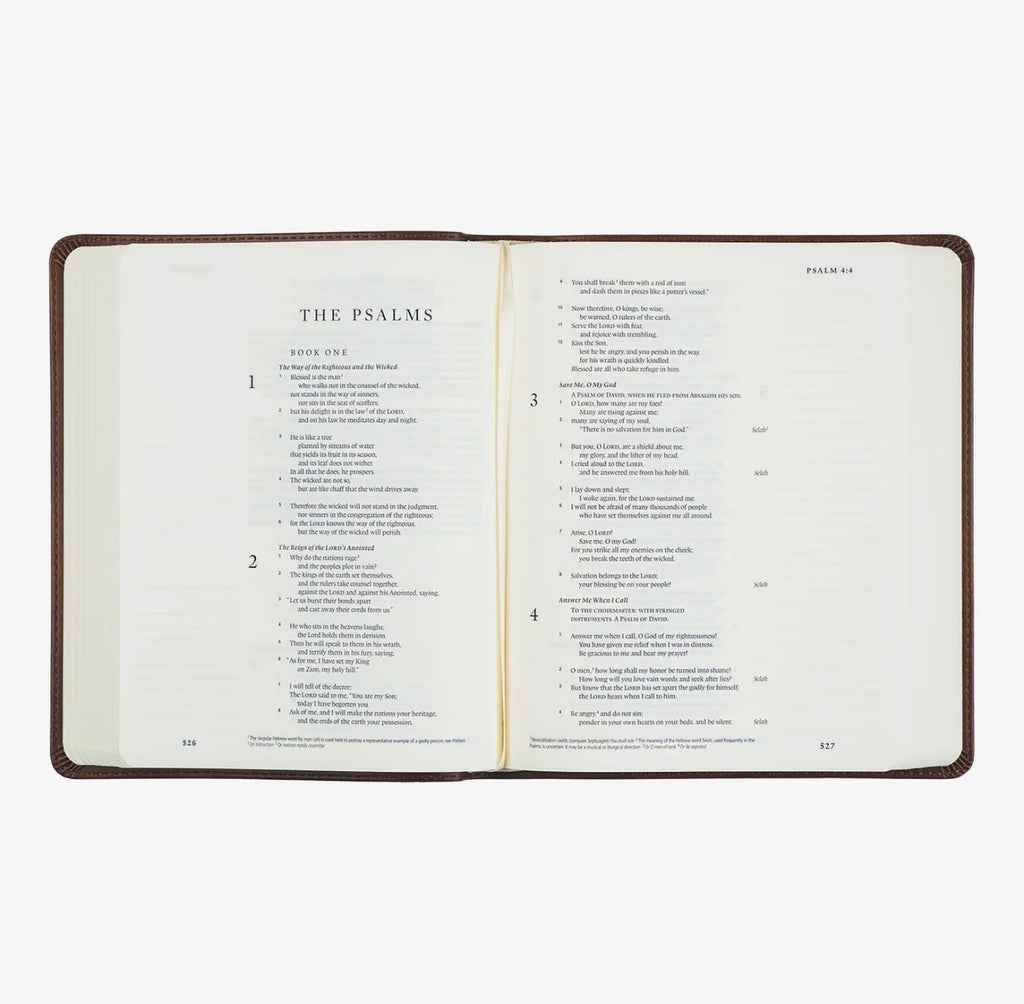 Esv Journaling Bible: Westminster Theme PREORDER