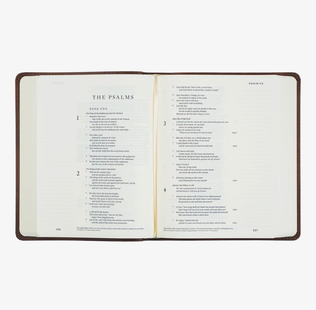 Esv Journaling Bible: Westminster Theme PREORDER