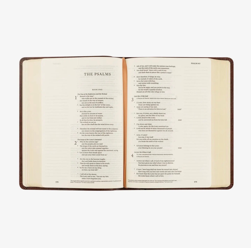 ESV Journaling Bible: Palma Theme PREORDER