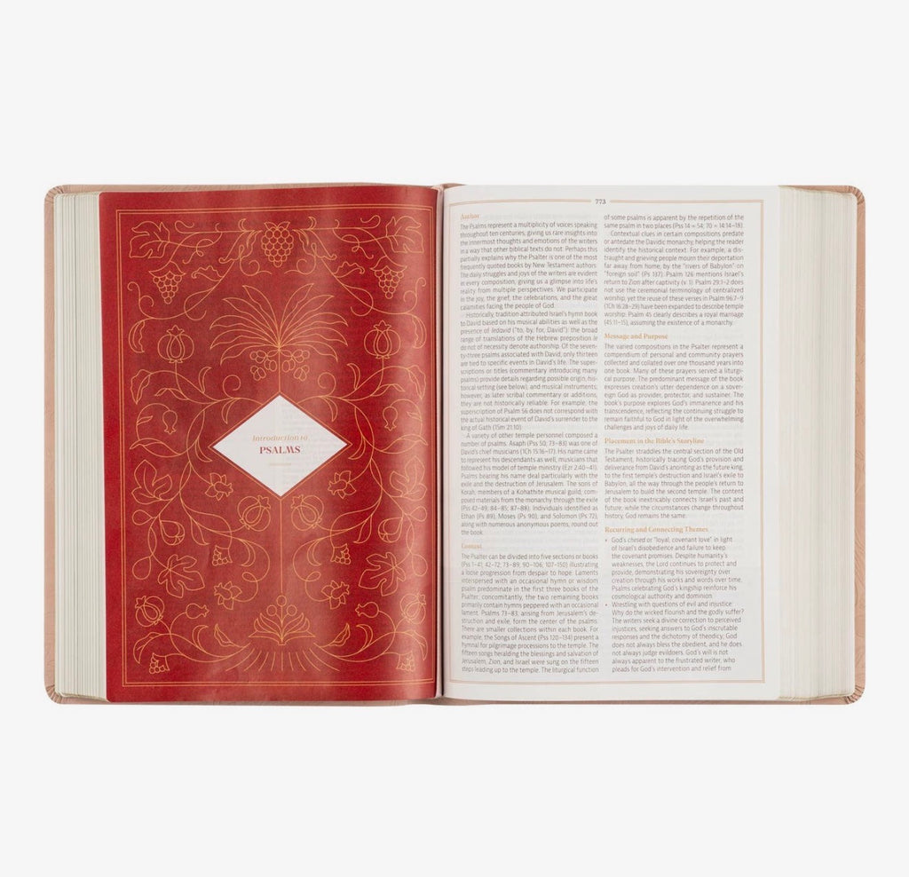 CSB Women's Study Bible: Sonora Theme PREORDER