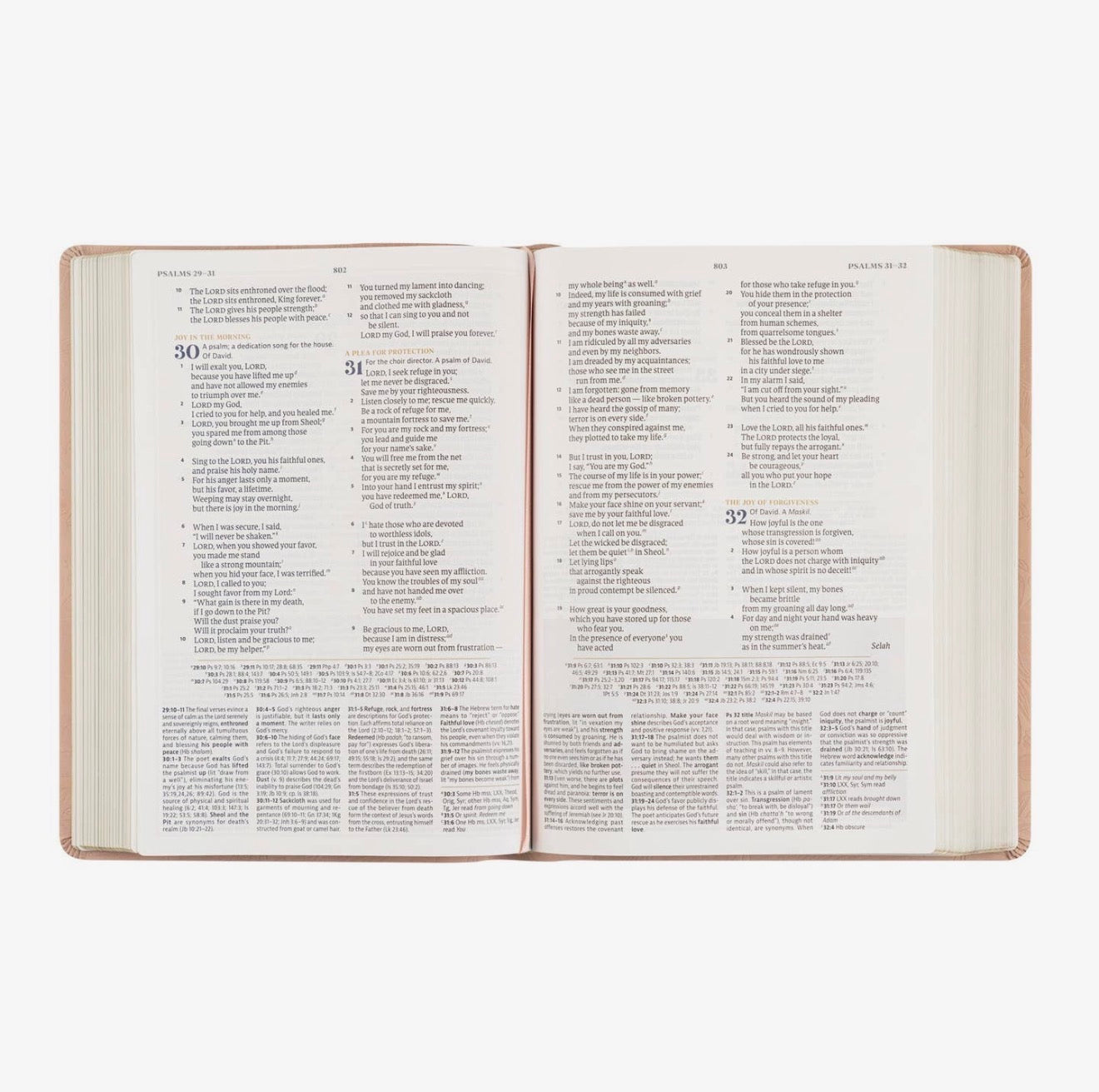 CSB Women's Study Bible: Sonora Theme PREORDER