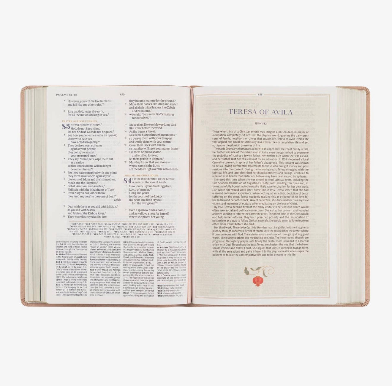 CSB Women's Study Bible: Sonora Theme PREORDER