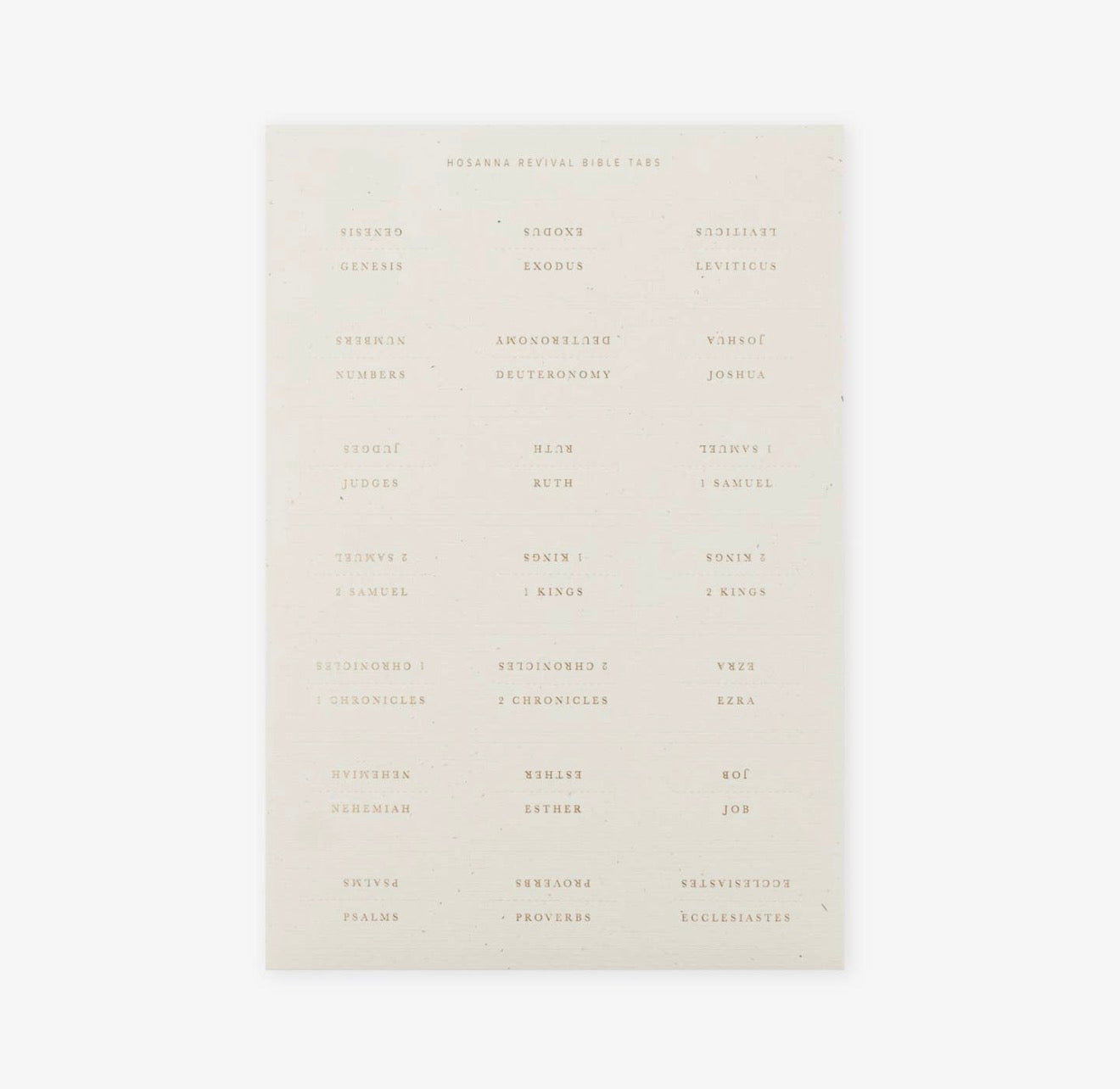 Bible Tabs: Gold Foiling PREORDER