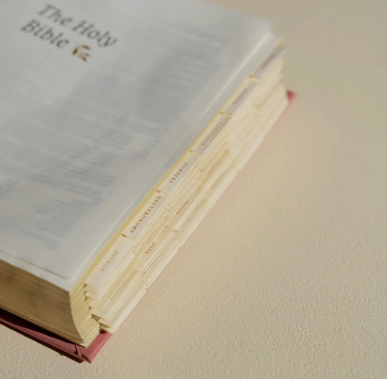 Bible Tabs: Gold Foiling PREORDER