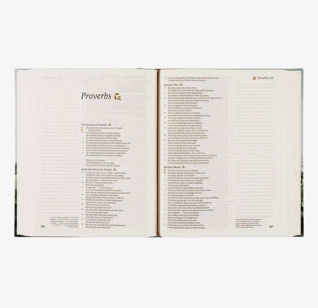 CSB Notetaking Bible: Dublin Theme PREORDER
