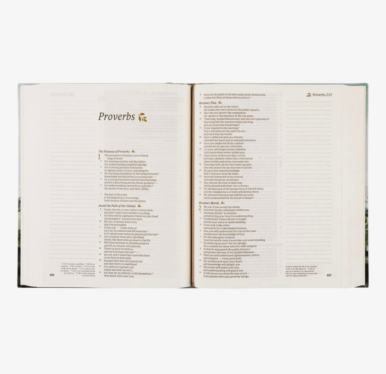CSB Notetaking Bible: Dublin Theme PREORDER